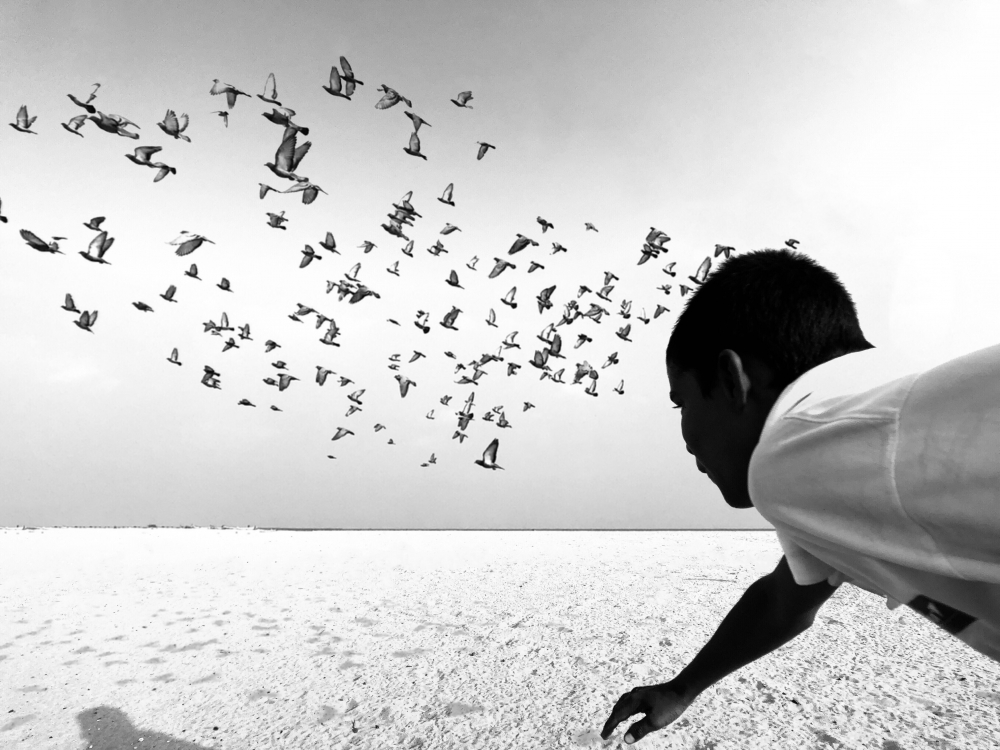 We Run, You Fly.