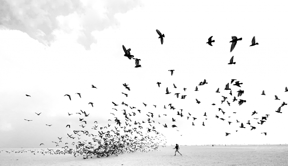 We Run, You Fly.