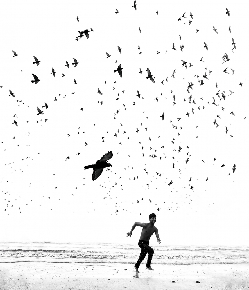 We Run, You Fly.