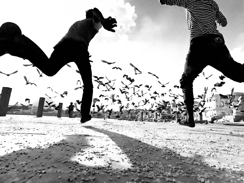 We Run, You Fly.