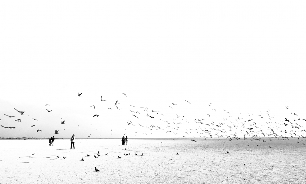 We Run, You Fly.