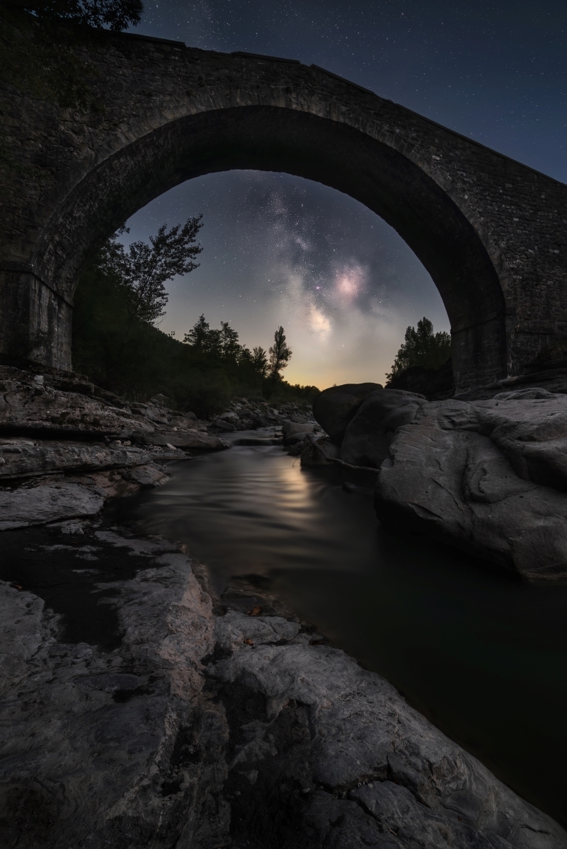 The Nocturnal Odyssey: Unveiling Nature's Hidden Symphony
