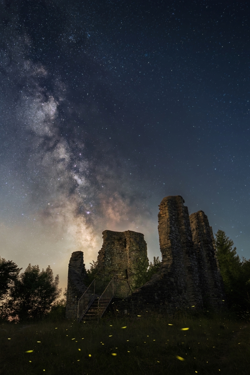 The Nocturnal Odyssey: Unveiling Nature's Hidden Symphony