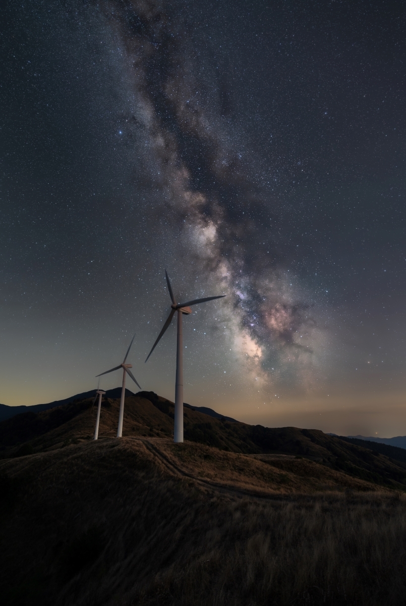 The Nocturnal Odyssey: Unveiling Nature's Hidden Symphony