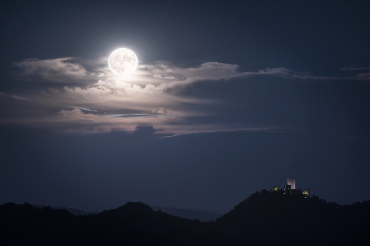 The Nocturnal Odyssey: Unveiling Nature's Hidden Symphony