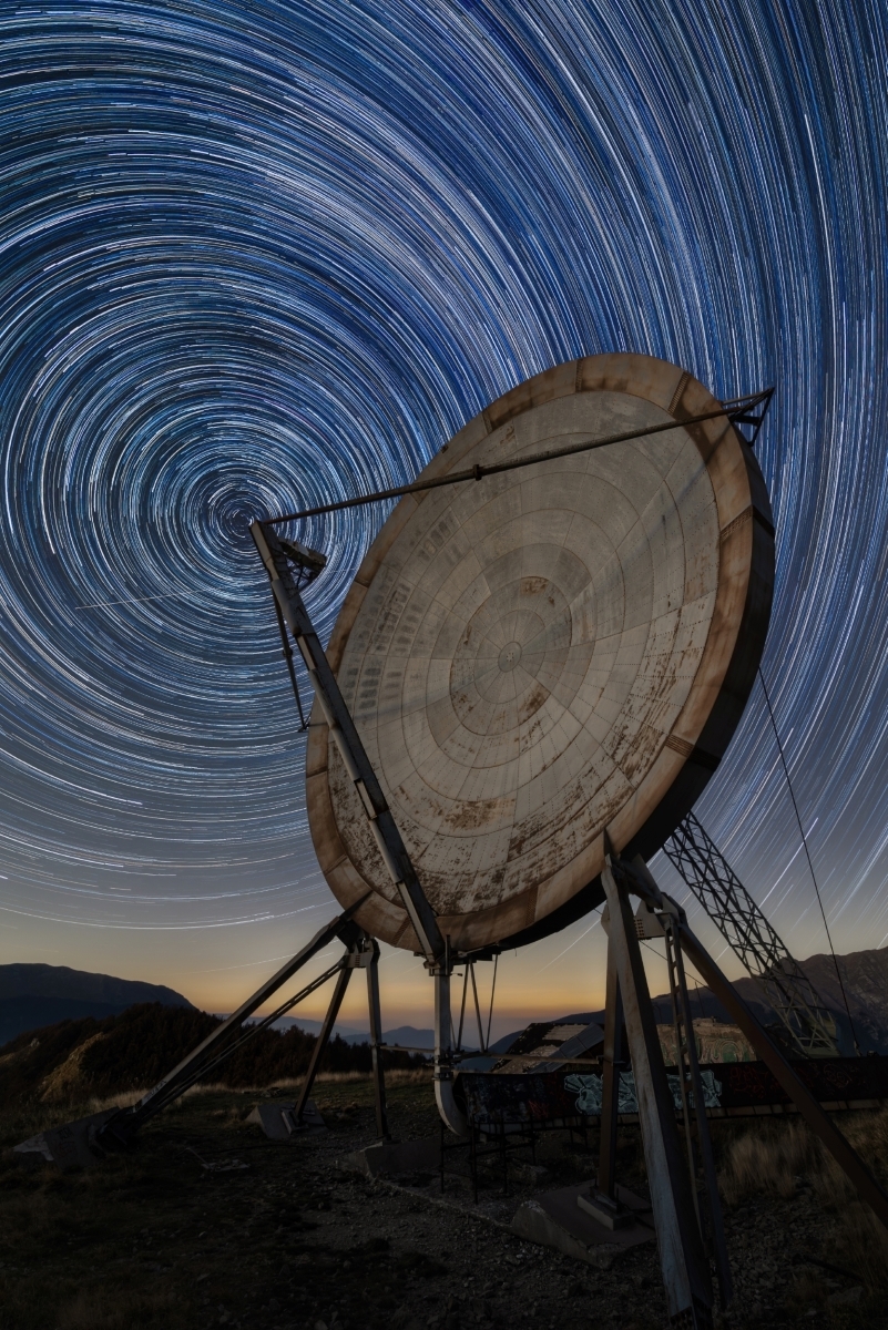 The Nocturnal Odyssey: Unveiling Nature's Hidden Symphony