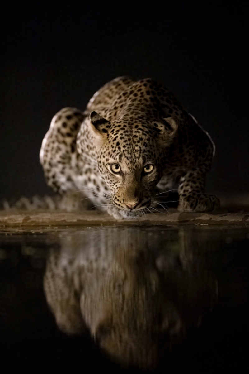 Reflections in the Night