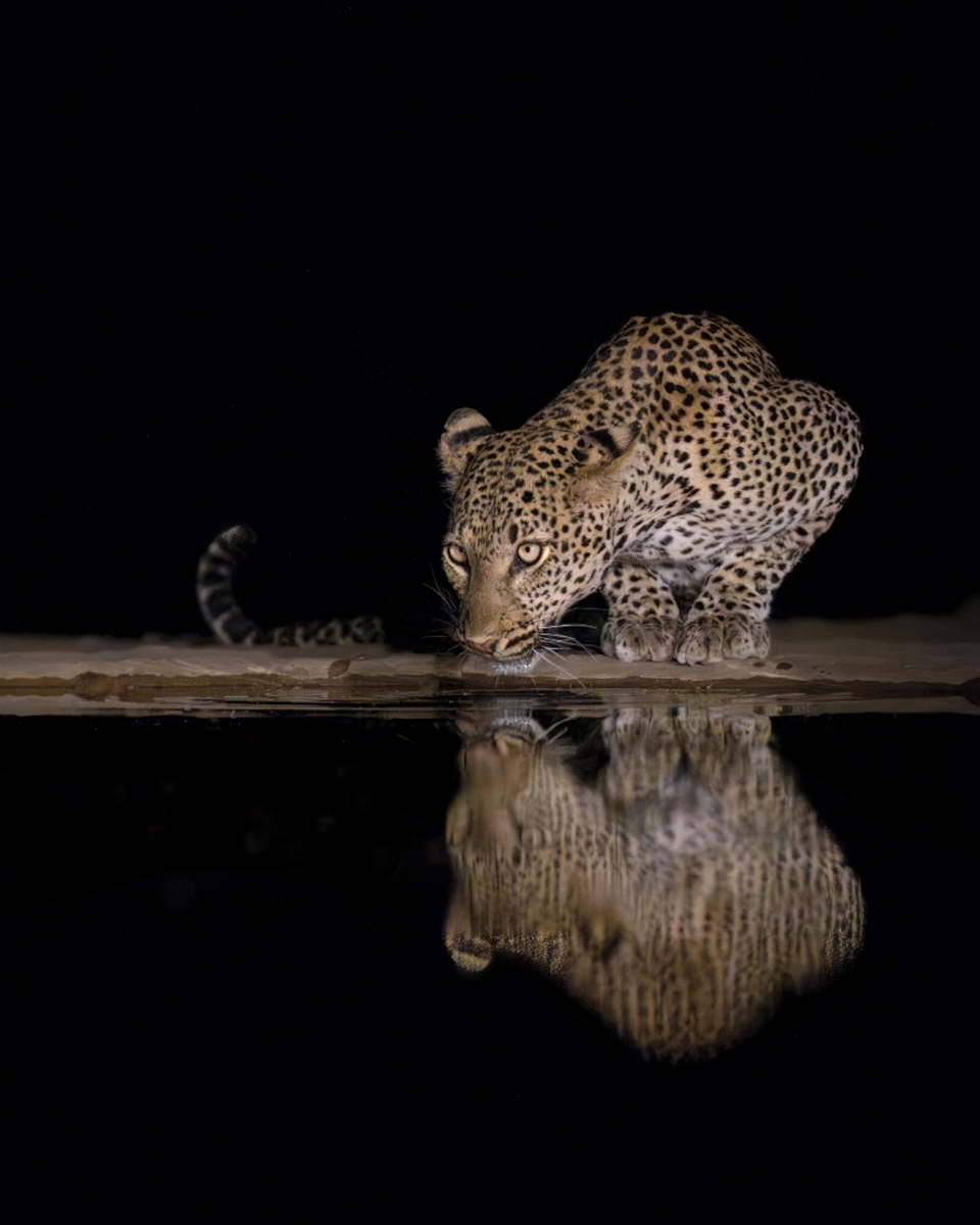 Reflections in the Night