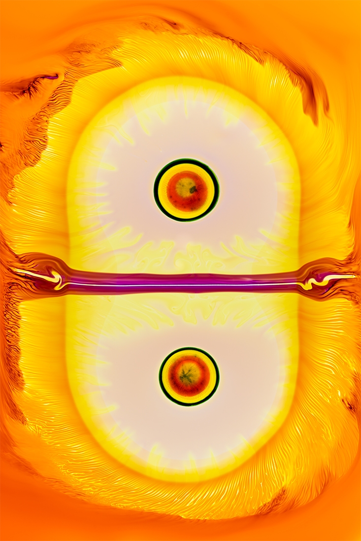 Cells