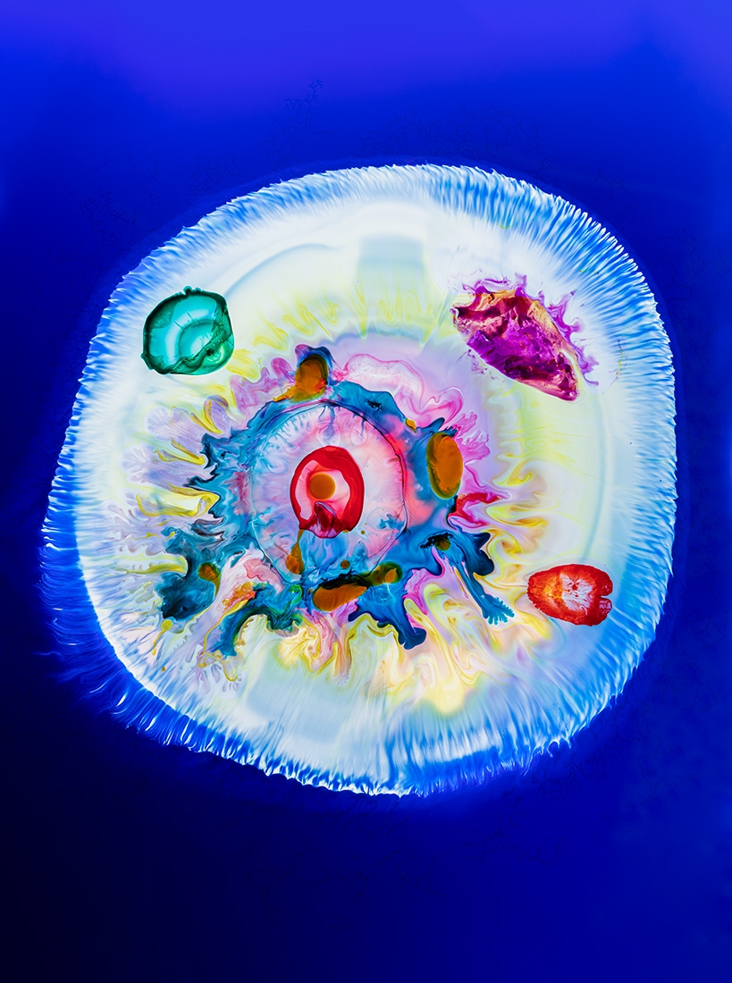 Cells