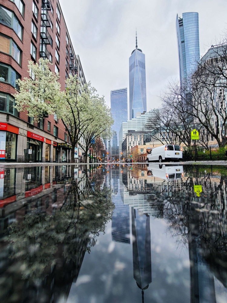 NYC Meets Covid
