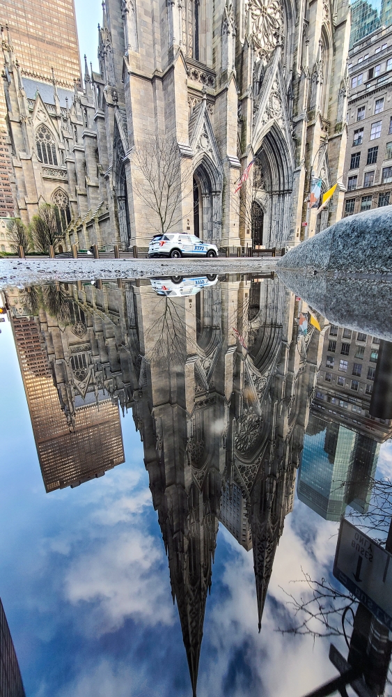 NYC Meets Covid