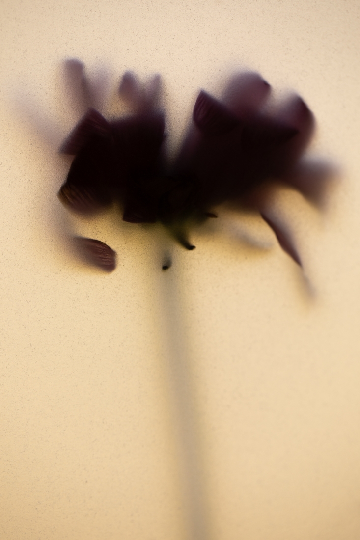 Withered Soul