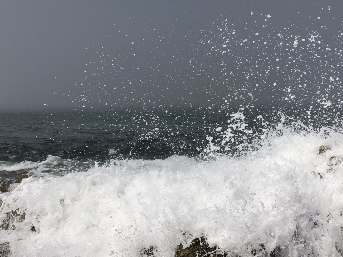Ocean Story
