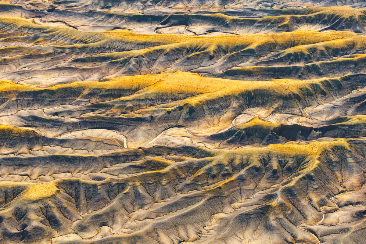 The Veins of the Earth
