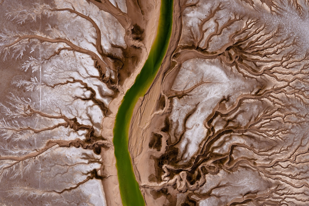 Colorado River Delta 