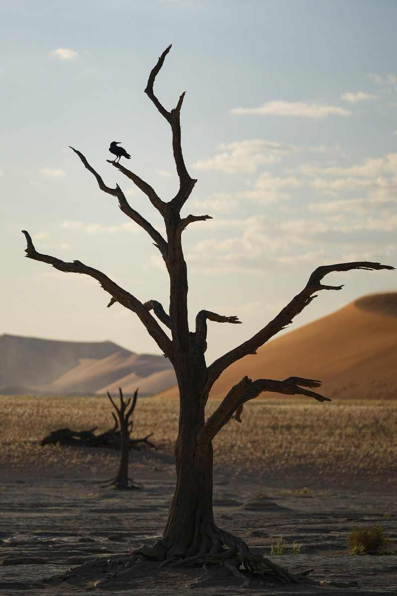 Deadvlei