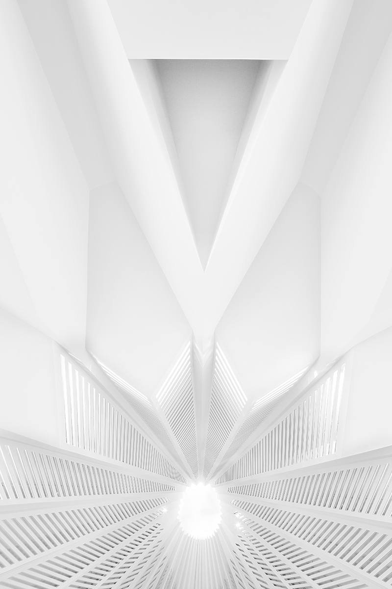 FLOWER  DOME
