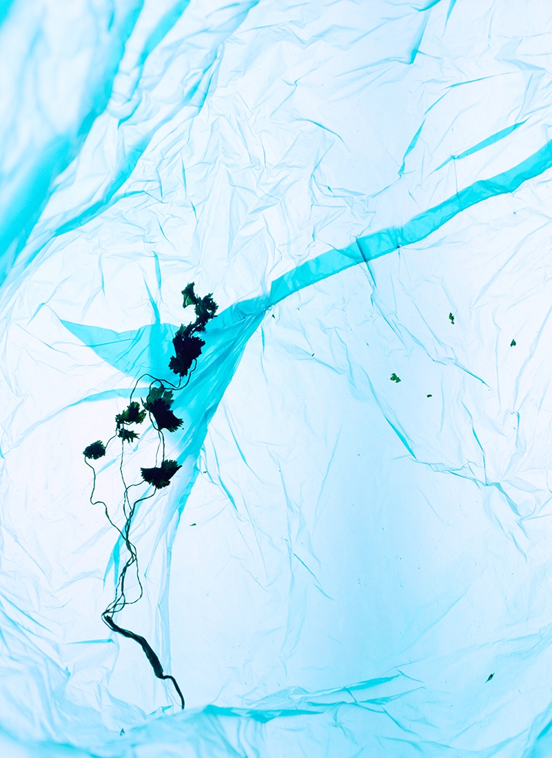 The Breath