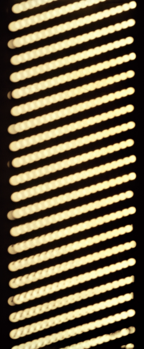 In the Secrecy of a Home (2024)