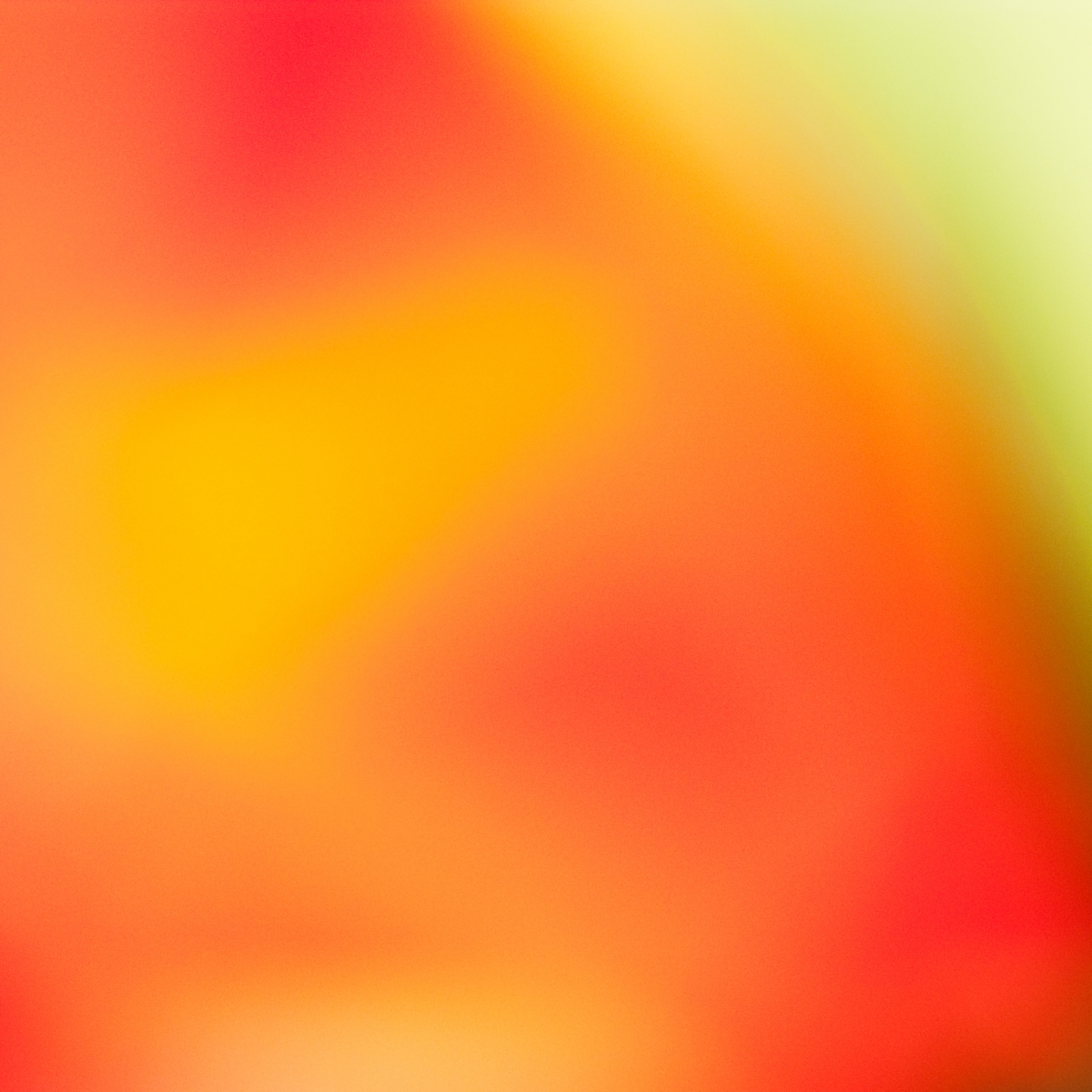 Chromatic concepts (2008-1010)
