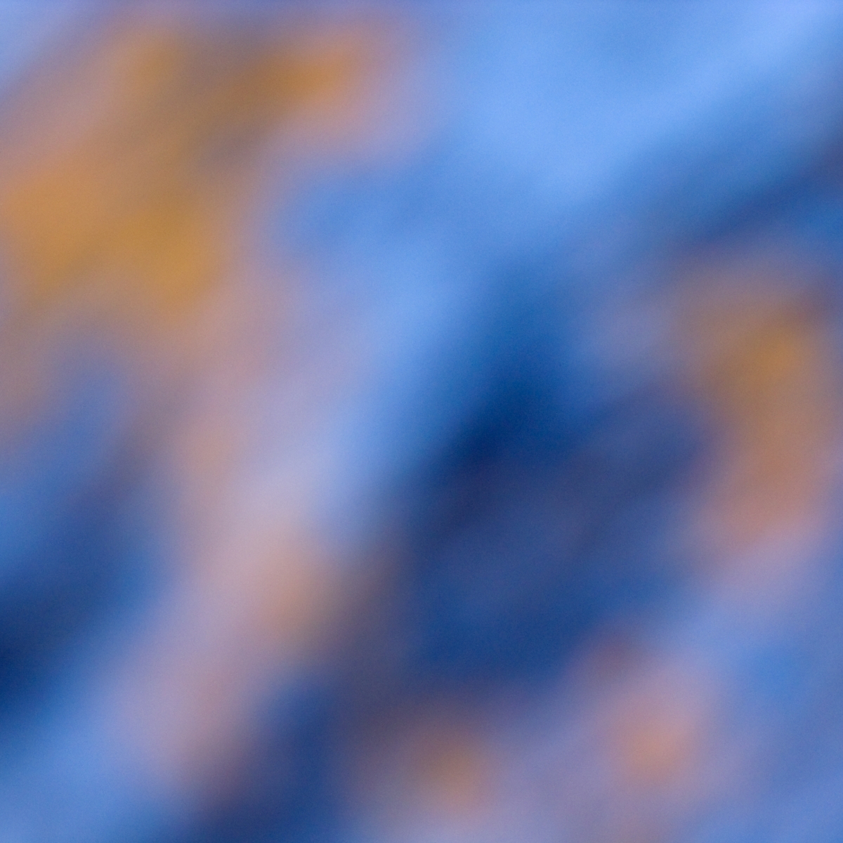 Chromatic concepts (2008-1010)