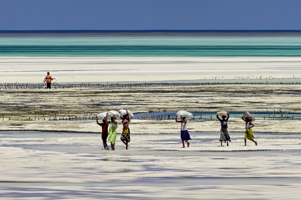 STEVE RYCH (Stephane CHERY) Scènes de vie d'une plage à Zanzibar...