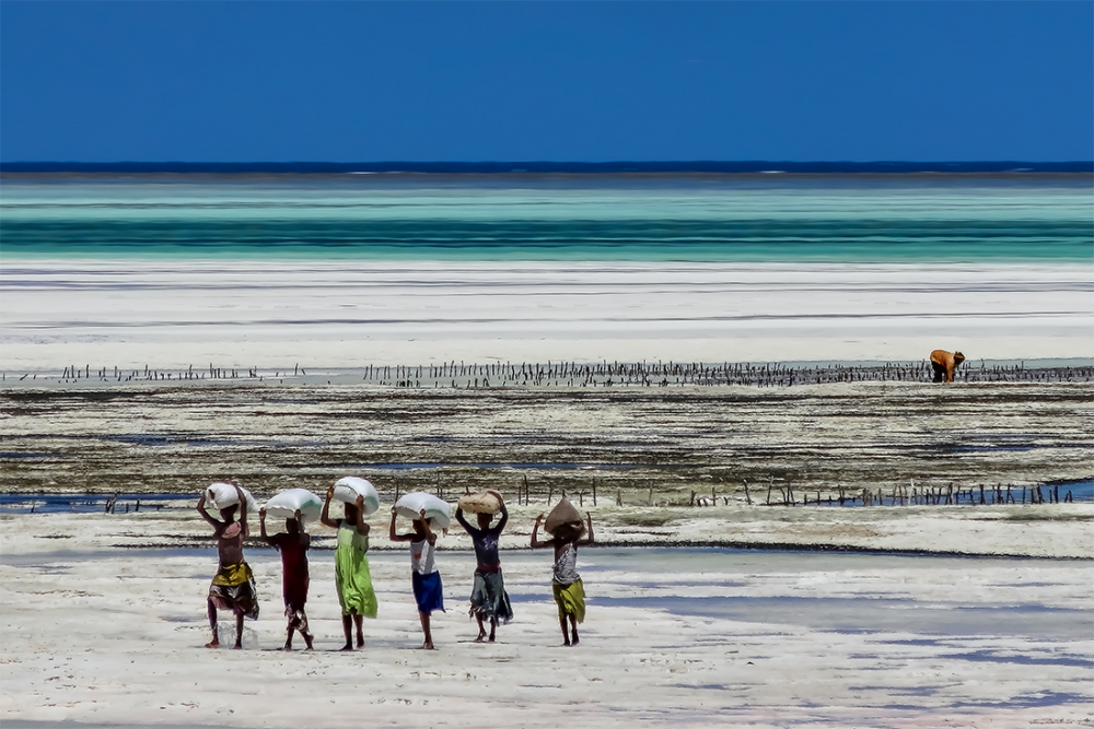 STEVE RYCH (Stephane CHERY) Scènes de vie d'une plage à Zanzibar...