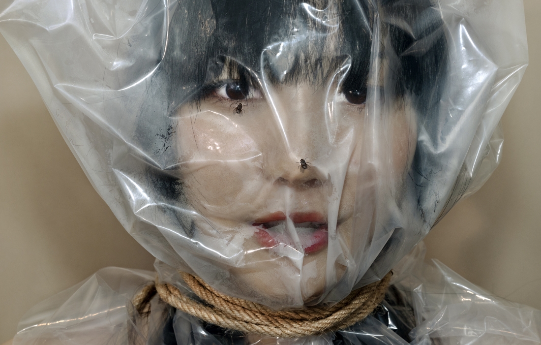 I AM FINE: Not Completely Falling Apart