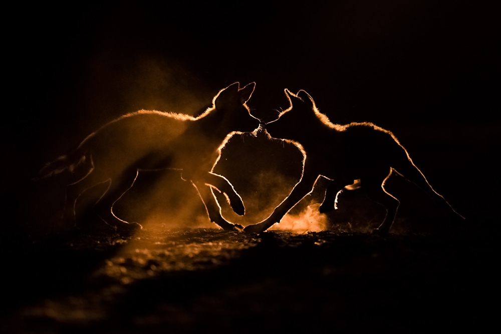 Annual Photography Awards winner BENCE MATE