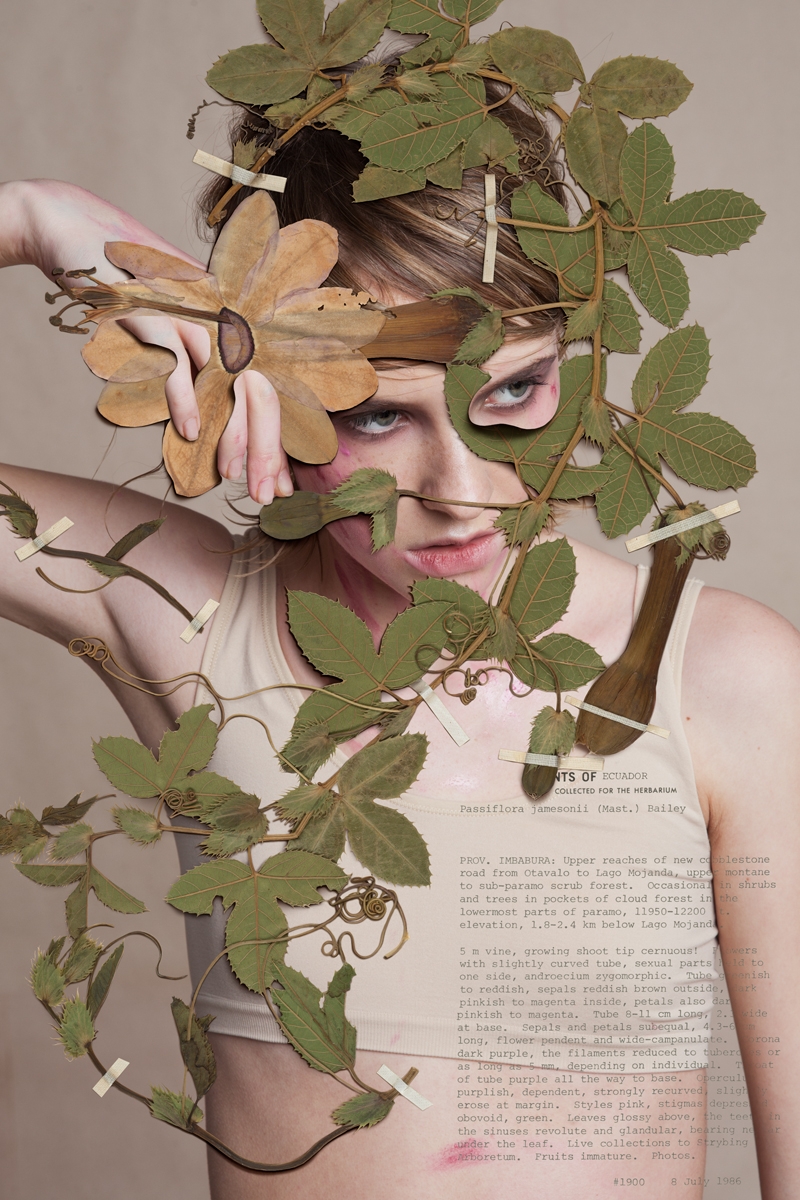 Herbarium of Virginity