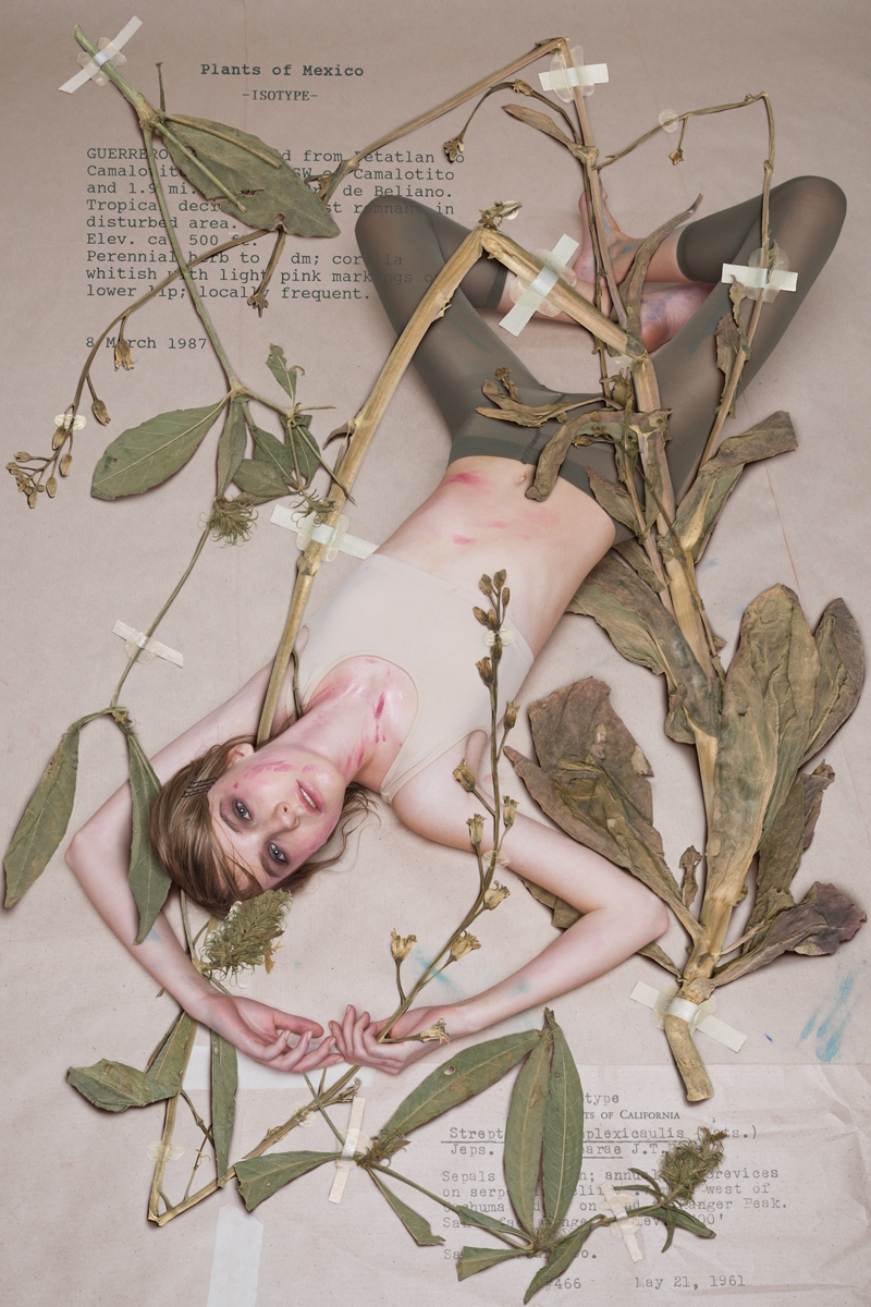 Herbarium of Virginity