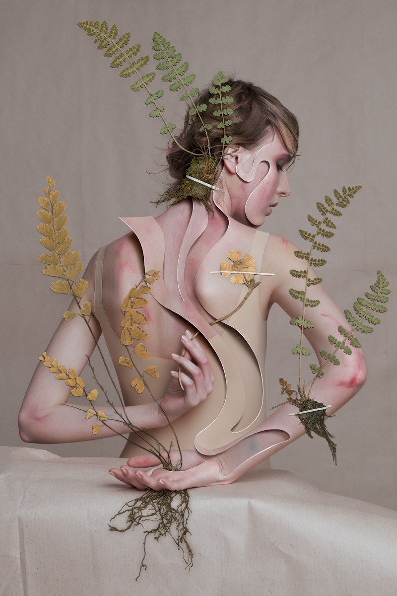 Herbarium of Virginity