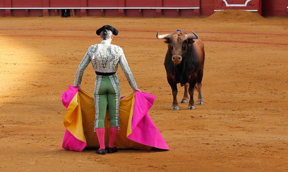 Bullfighting: culture or torture?