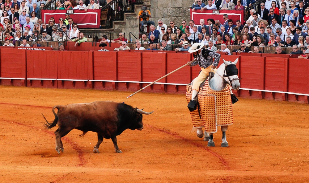 Bullfighting: culture or torture?