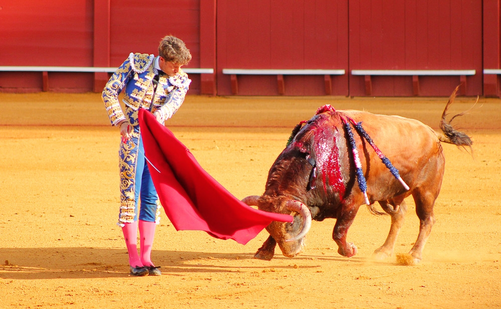Bullfighting: culture or torture?