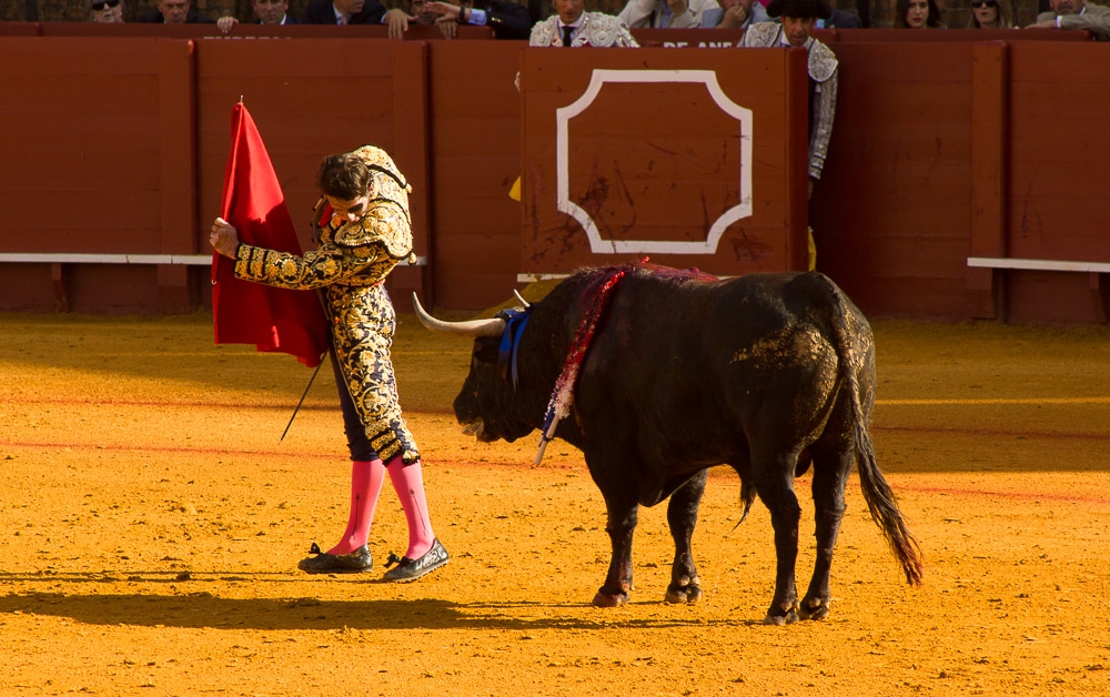 Bullfighting: culture or torture?