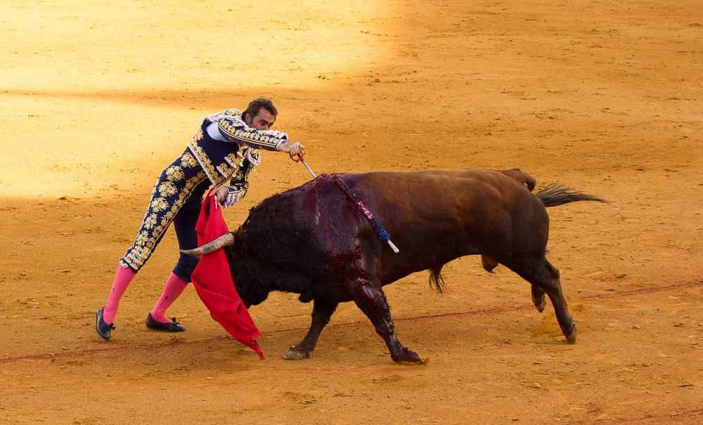 Bullfighting: culture or torture?
