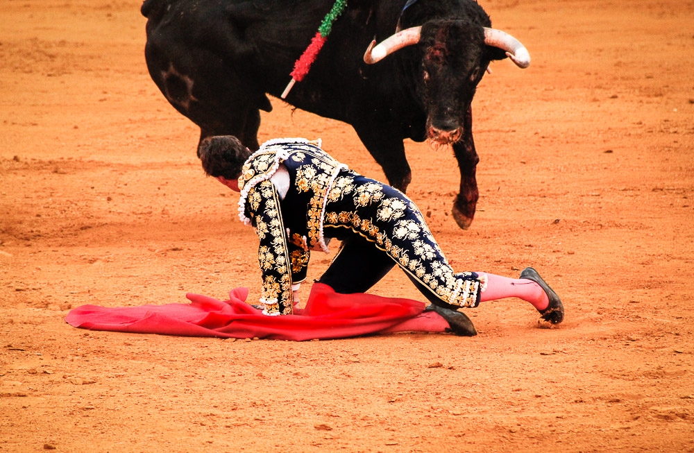 Bullfighting: culture or torture?