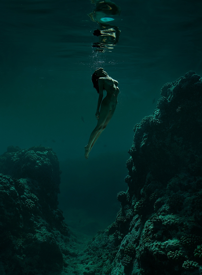 Where Fishes Go