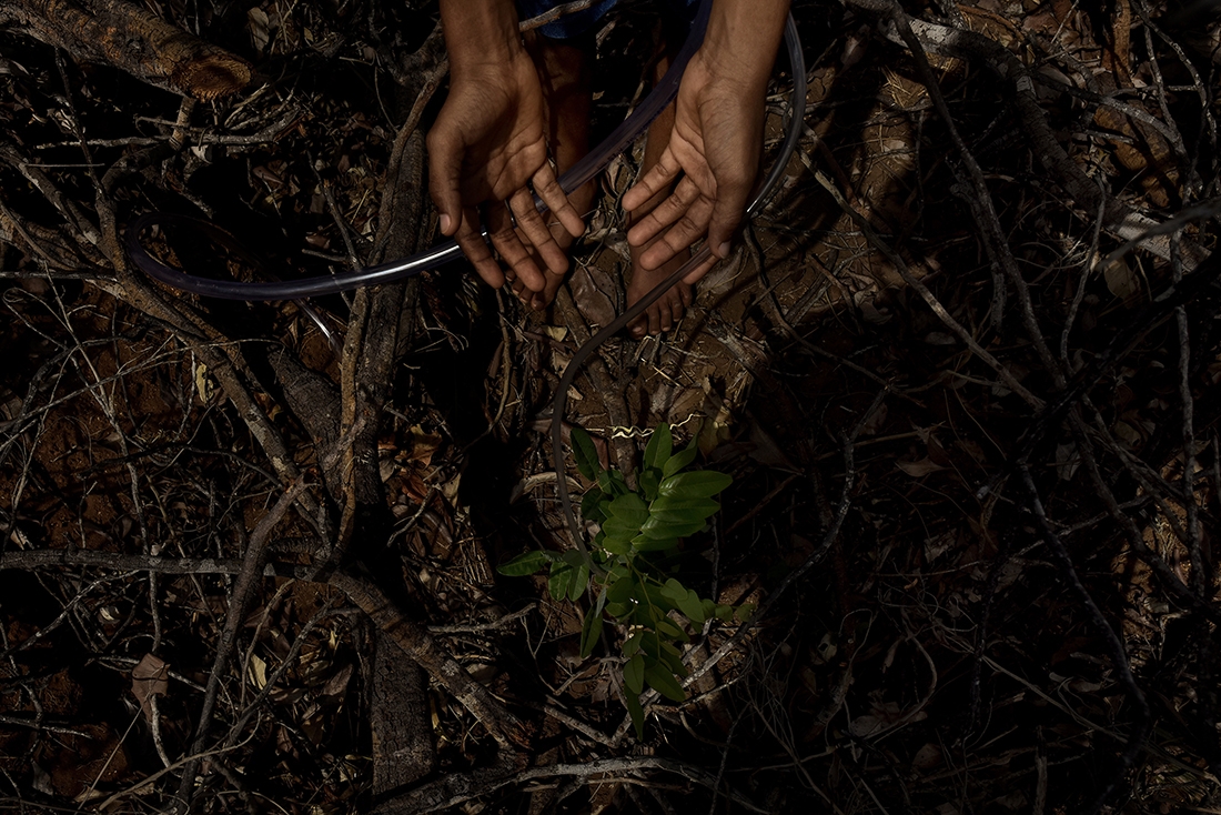 Anthropogenic