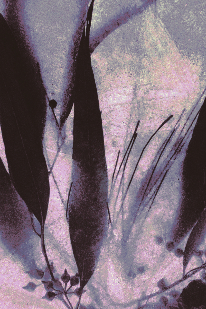 Nocturnes