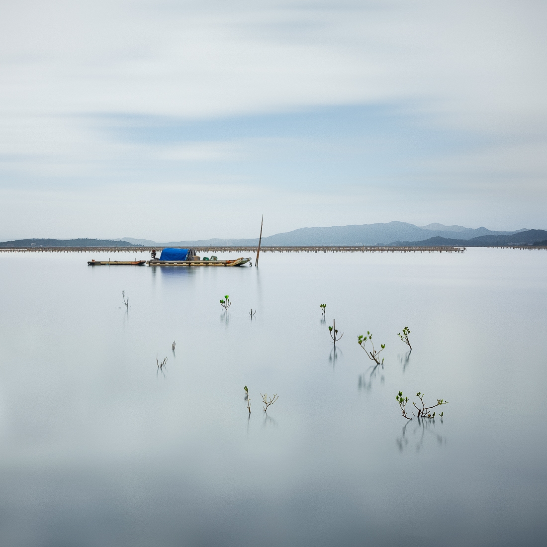 Lost of Sea