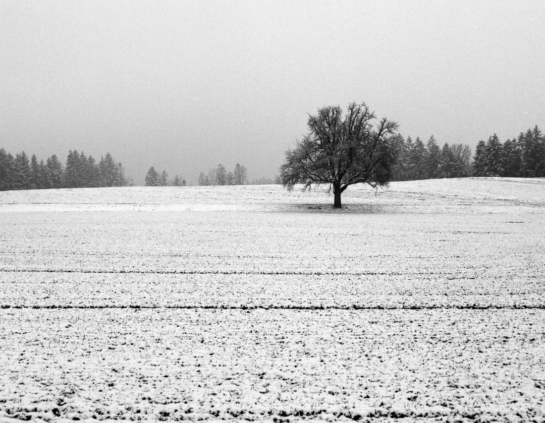 a winter journey