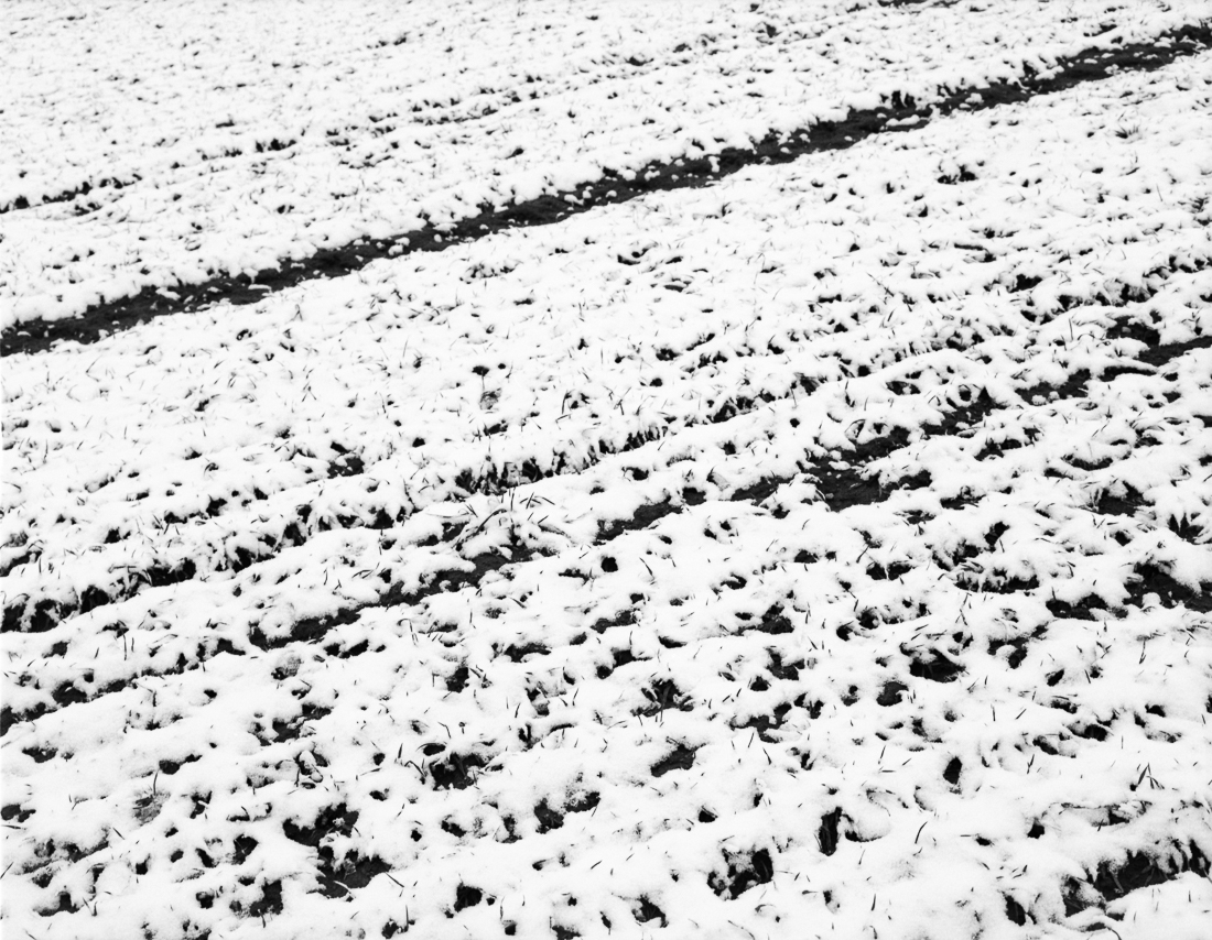 a winter journey