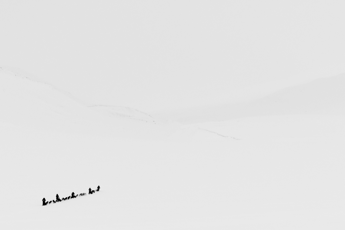 Dog sled