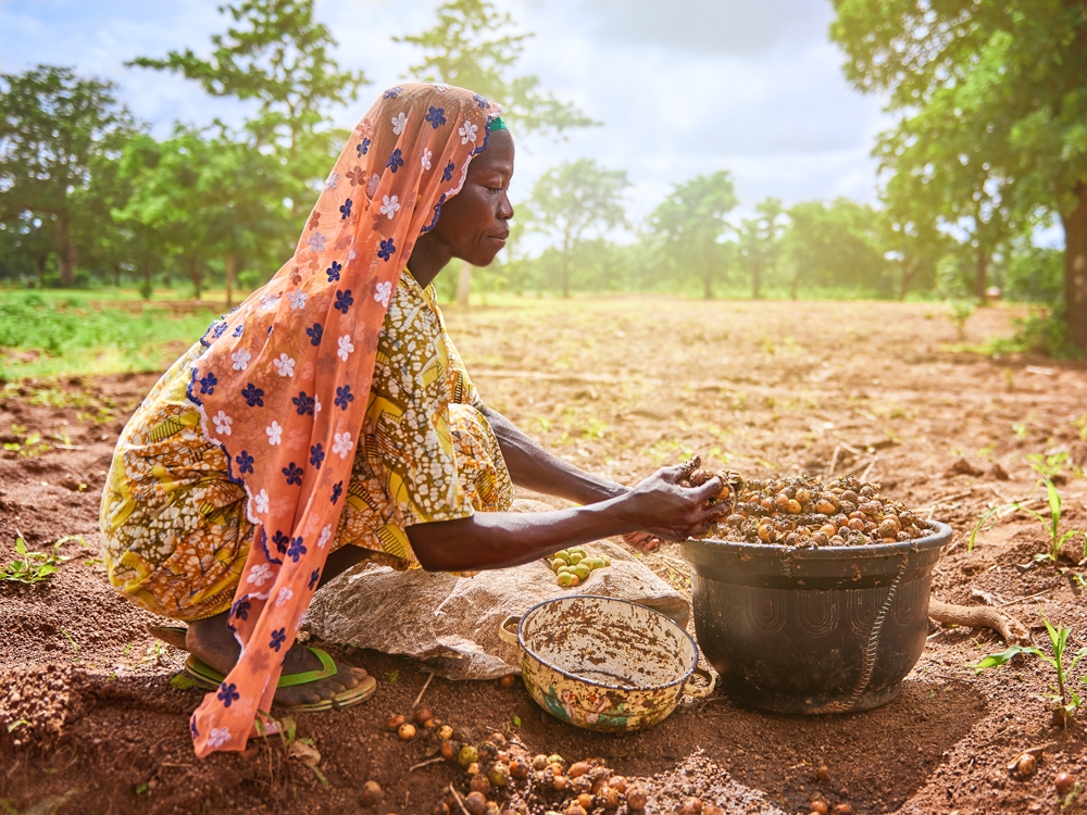 Shea Production in Gizaa-Gunda, Ghana