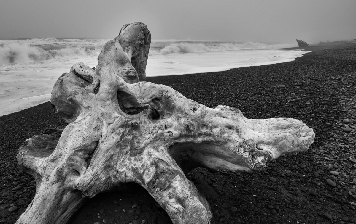 Waiting for the Tide