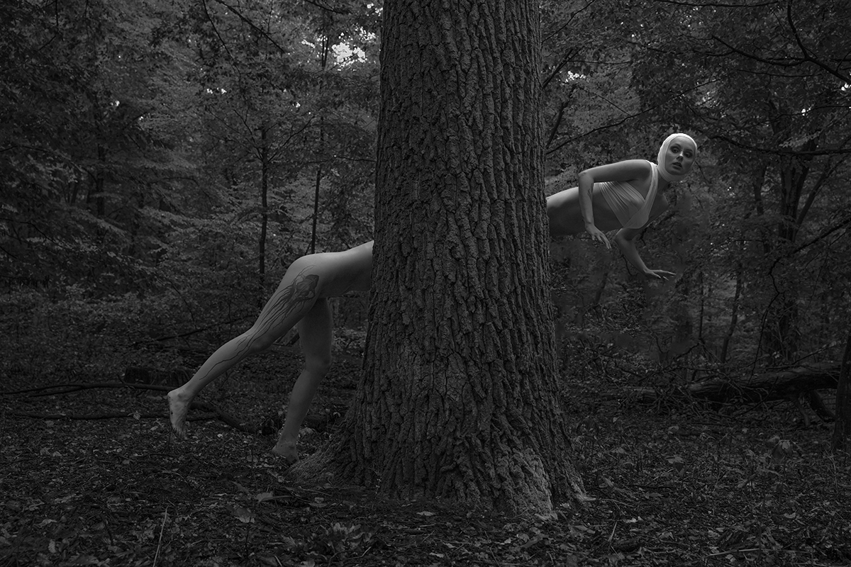 The Lazy Monster Slowly Devouring You From The Inside While You Are Standing Here Waiting