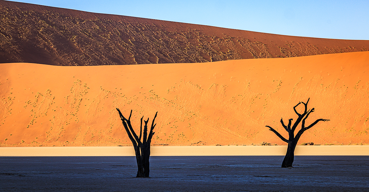 Morning Light,  Deadvlei,  Namibia 